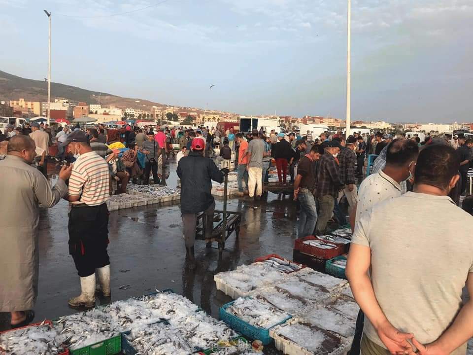 بتصرف عن صحيفة "ناظور سيتي"