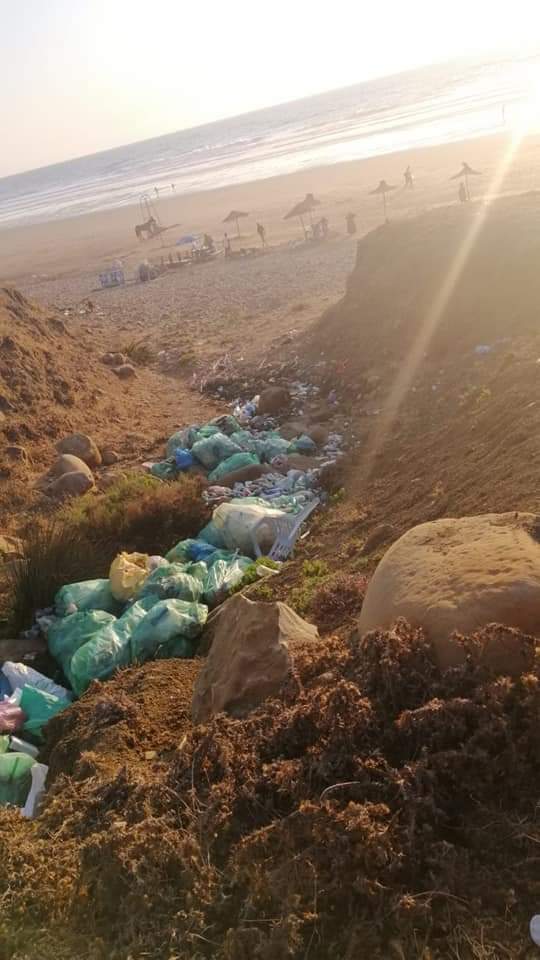 عن نشطاء
