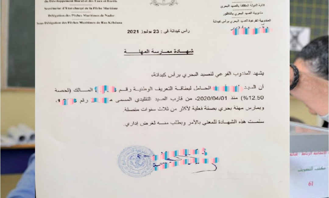 الشهادة موضوع الطعن 